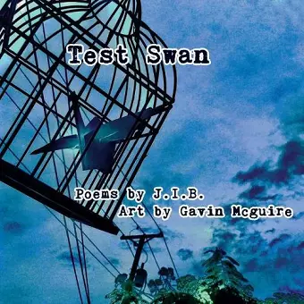 Test Swan cover