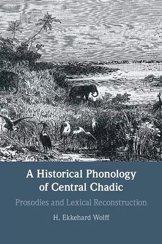 A Historical Phonology of Central Chadic cover