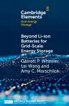 Beyond Li-ion Batteries for Grid-Scale Energy Storage cover