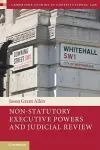 Non-Statutory Executive Powers and Judicial Review cover