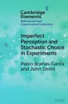 Imperfect Perception and Stochastic Choice in Experiments cover