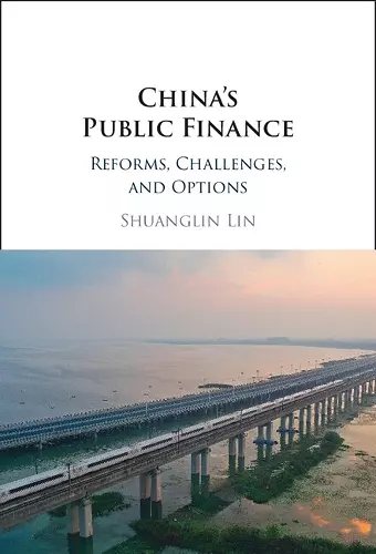 China's Public Finance cover