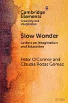 Slow Wonder cover