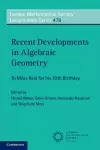 Recent Developments in Algebraic Geometry cover