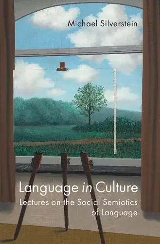 Language in Culture cover