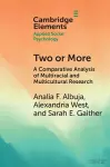 Two or More cover