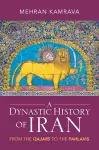 A Dynastic History of Iran cover