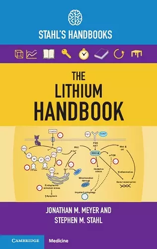 The Lithium Handbook cover