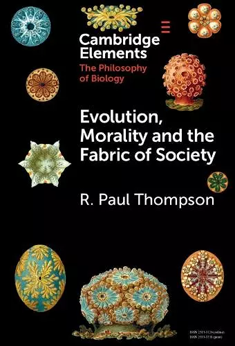 Evolution, Morality and the Fabric of Society cover