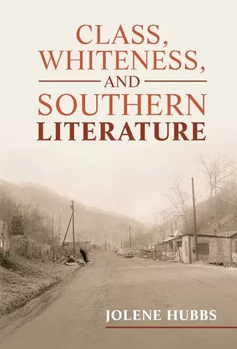 Class, Whiteness, and Southern Literature cover