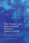 The Politics of Immigration Beyond Liberal States cover