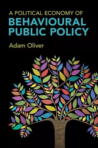 A Political Economy of Behavioural Public Policy cover