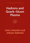 Hadrons and Quark–Gluon Plasma cover