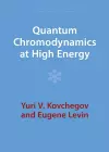 Quantum Chromodynamics at High Energy cover