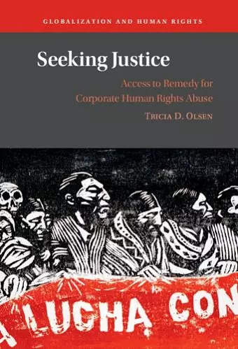 Seeking Justice cover