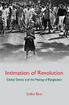 Intimation of Revolution cover