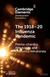 The 1918–20 Influenza Pandemic cover