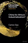 China for Africa's Industrialization? cover
