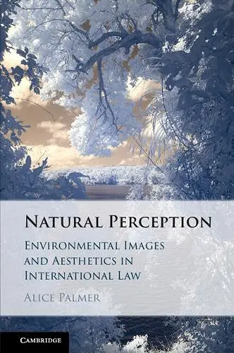 Natural Perception cover