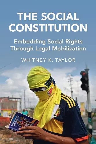 The Social Constitution cover