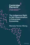 The Indigenous Right to Self-Determination in Extractivist Economies cover