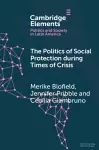 The Politics of Social Protection During Times of Crisis cover