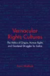 Vernacular Rights Cultures cover