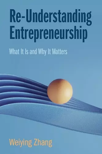 Re-Understanding Entrepreneurship cover