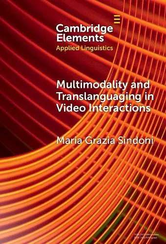 Multimodality and Translanguaging in Video Interactions cover