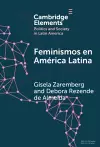 Feminismos en América Latina cover