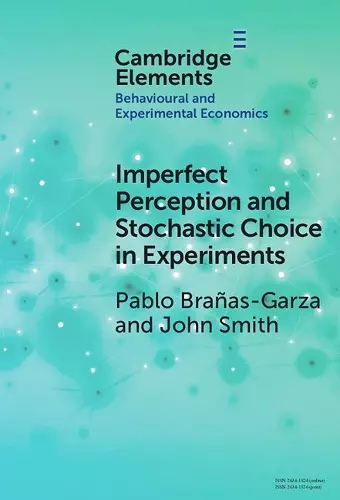 Imperfect Perception and Stochastic Choice in Experiments cover