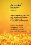 State-Owned Enterprises as Institutional Actors in Contemporary Capitalism and Beyond cover