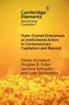 State-Owned Enterprises as Institutional Actors in Contemporary Capitalism and Beyond cover