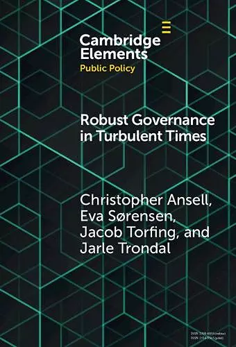 Robust Governance in Turbulent Times cover