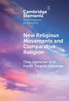 New Religious Movements and Comparative Religion cover