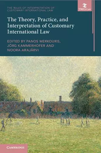 The Theory, Practice, and Interpretation of Customary International Law cover