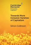 Towards More Inclusive Varieties of Capitalism cover