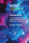 Sensorium cover