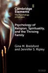 Psychology of Religion, Spirituality, and the Thriving Family cover