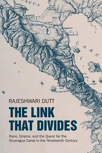 The Link That Divides cover