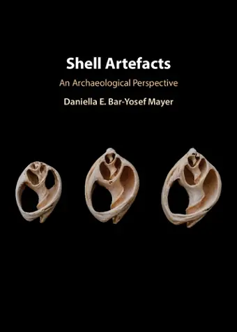 Shell Artefacts cover