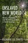 Enslaved New World cover