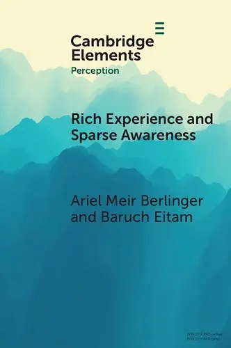 Rich Experience and Sparse Awareness cover