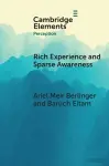 Rich Experience and Sparse Awareness cover