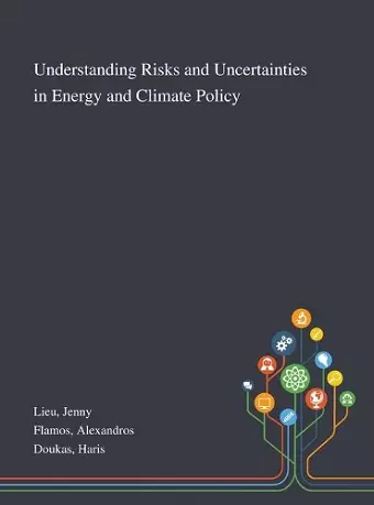 Understanding Risks and Uncertainties in Energy and Climate Policy cover