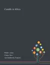 Castells in Africa cover