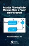 Adaptive Filtering Under Minimum Mean p-Power Error Criterion cover