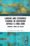 Labour and Economic Change in Southern Africa c.1900-2000 packaging