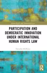 Participation and Democratic Innovation under International Human Rights Law cover