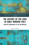 The History of the Jews in Early Modern Italy cover